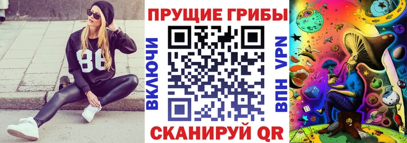 Псилоцибиновые грибы Psilocybe  где продают   Кунгур 